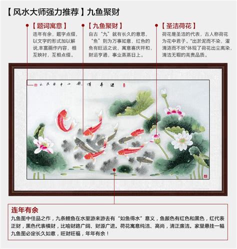 九魚圖|九魚圖適合掛在哪裡？九魚圖寓意和風水禁忌